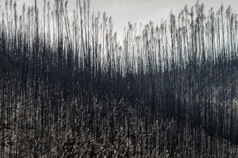 PEDRÓGÃO GRANDE: UNIDADE DE MISSÃO PARA O INTERIOR FAZ BALANÇO “EXTREMAMENTE POSITIVO”