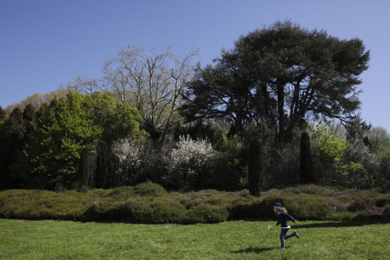 SERRALVES RECEBE APRESENTAÇÃO DE PROJETO DE “ARQUEOLOGIA SONORA” DE TAREK ATOUI