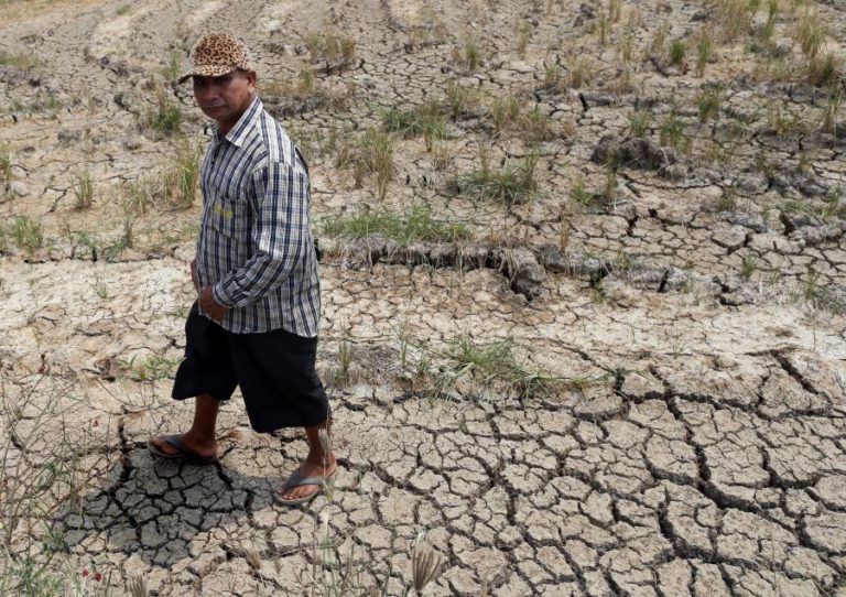 ALTERAÇÕES CLIMÁTICAS E FLORESTA INTEGRAM NOVO ANO LETIVO NA REGIÃO VISEU DÃO LAFÕES