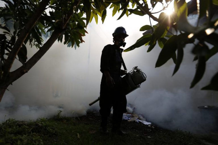ONG CULPAM PESTICIDAS POR PROBLEMAS NO CAMPO E NA MESA DOS BRASILEIROS