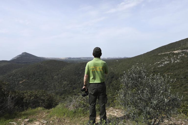 ARRÁBIDA TERÁ PROJETO COM AGENTES PARA LIMPEZA, VIGILÂNCIA E INTERVENÇÃO EM CASO DE INCÊNDIO