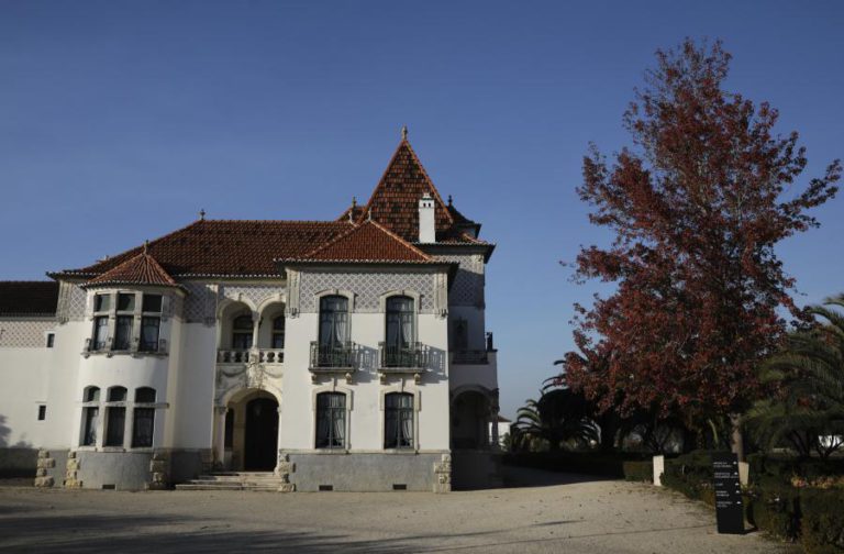 FUNDO DE PRODUÇÃO CINEMATOGRÁFICA MARCA ARRANQUE DO AVANCA 2018 FILM FESTIVAL