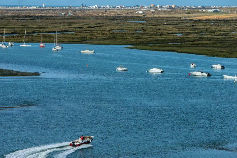 DUAS TONELADAS DE LIXO RECOLHIDAS NO PARQUE NATURAL DA RIA FORMOSA