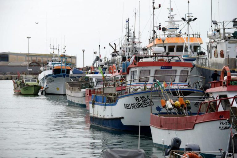 FAO ALERTA PARA O AUMENTO DA SOBRE-EXPLORAÇÃO DOS RECURSOS PESQUEIROS NO MUNDO