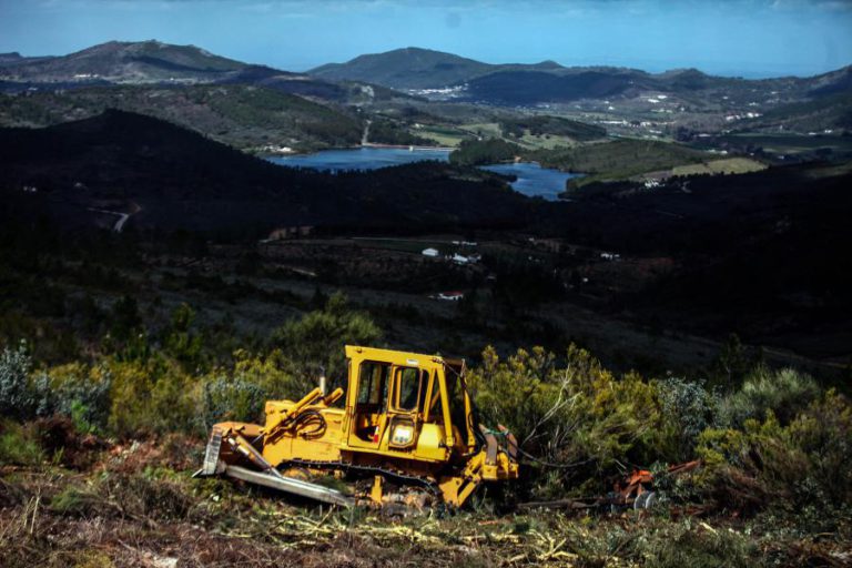 ICNF JÁ EXECUTOU 1.730 HECTARES DE FAIXAS DE GESTÃO DE COMBUSTÍVEL