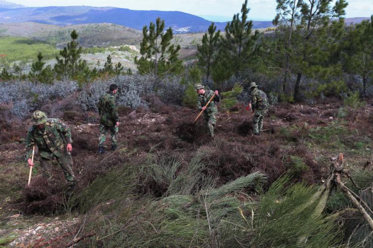 FORÇAS ARMADAS TÊM 2.192 “MILITARES PRONTOS” PARA OPERAÇÕES DE APOIO AO COMBATE A INCÊNDIOS