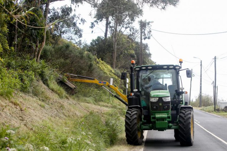 CÂMARA DE VISEU MANDA LIMPAR IP5 E REMETE FATURA À INFRAESTRUTURAS DE PORTUGAL