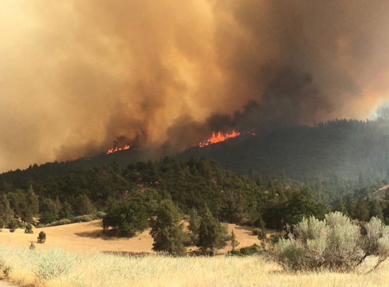 INCÊNDIO FLORESTAL NA CALIFÓRNIA CAUSA UM MORTO E DESTRÓI DIVERSAS ESTRUTURAS