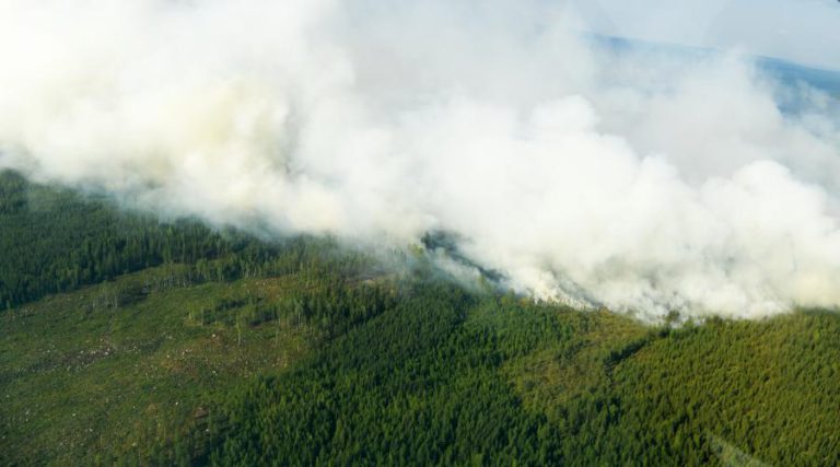 VÁRIOS PAÍSES DA UE ENVIAM REFORÇOS PARA AJUDAR SUÉCIA A COMBATER INCÊNDIOS