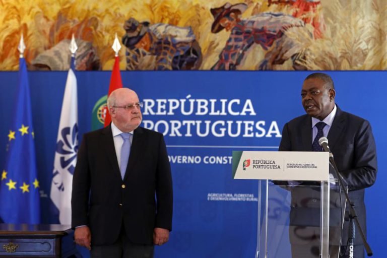 ANGOLA DIZ ESTAR EMPENHADA NA VALORIZAÇÃO DA AGRICULTURA FAMILIAR