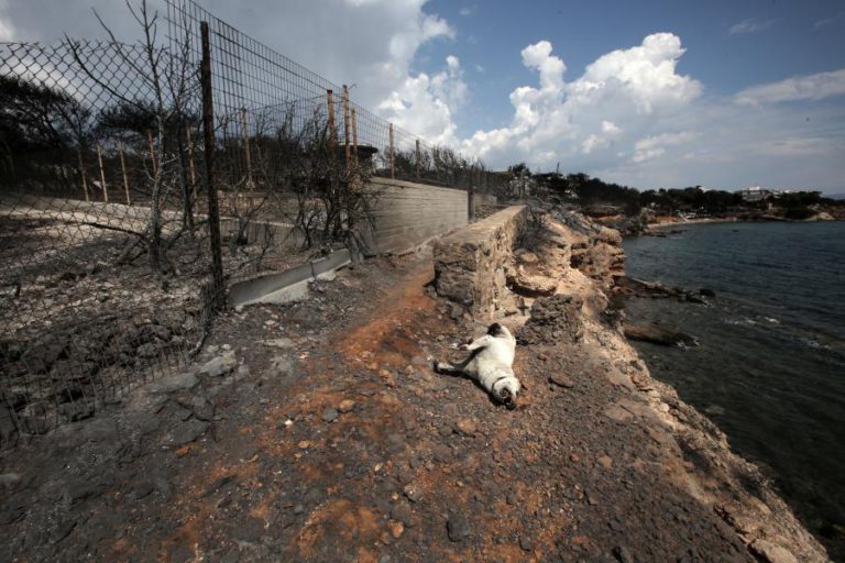 AUTORIDADES GREGAS DIZEM QUE EXISTEM “INDÍCIOS SÉRIOS” DE ATOS CRIMINOSOS NOS INCÊNDIOS