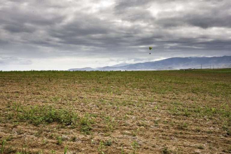 SECA NA ILHA DE SÃO MIGUEL LEVA AGRICULTORES A PONDERAR REDUÇÃO DE EXPLORAÇÕES