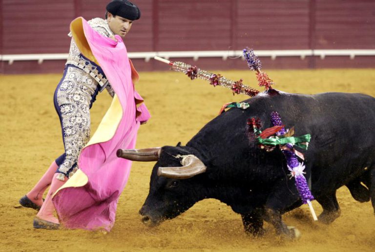 APOIANTES DE TOURADAS NA PÓVOA DE VARZIM LANÇAM PETIÇÃO CONTRA DECISÃO DA AUTARQUIA