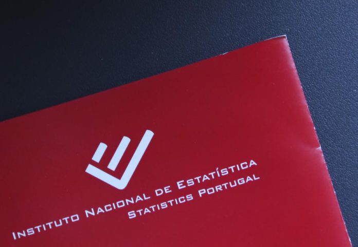 9916335.JPG