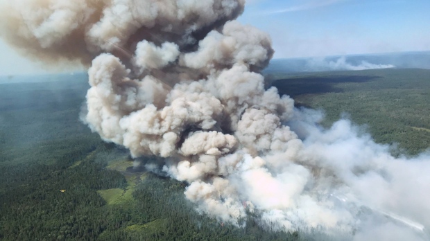 Imagem: Ontario Ministry of Natural Resources and Forestry