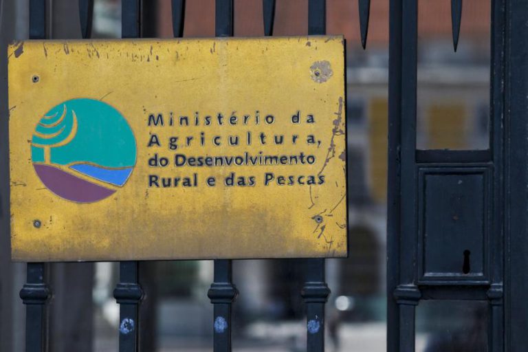 GOVERNO DIZ ESTAR “LEGALMENTE IMPEDIDO” DE INTERFERIR NA GESTÃO DA LACTOGAL