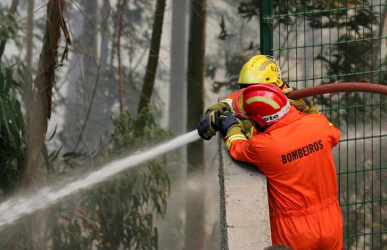 SETE CORPORAÇÕES DA MADEIRA COMBATEM INCÊNDIO NA CAMACHA QUE CONTINUA ATIVO