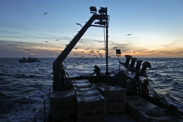 TERMINA HOJE INTERDIÇÃO À PESCA DE SARDINHA EM TRÊS ZONAS DO PAÍS