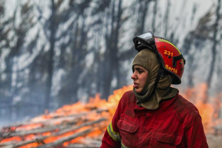 FOGO NA SERTÃ ESTÁ DOMINADO E NÃO AMEAÇOU POVOAÇÕES