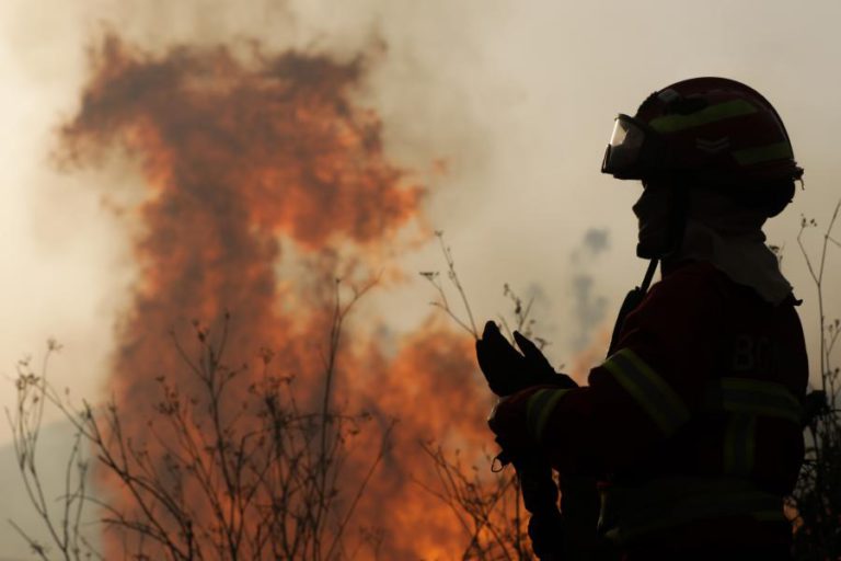 36 CONCELHOS EM RISCO MÁXIMO DE INCÊNDIO E TERMÓMETROS ACIMA DOS 40º