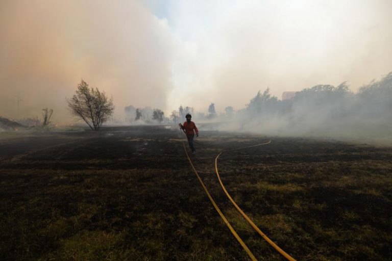 PROTEÇÃO CIVIL DÁ COMO DOMINADOS TODOS OS INCÊNDIOS REGISTADOS ATÉ ÀS 22:00