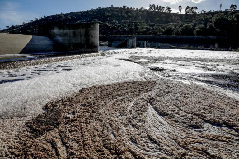 CONCLUÍDA REMOÇÃO DE 15 MIL M3 DE LAMAS DAS ÁGUAS DO TEJO COM “EXCELENTE QUALIDADE”