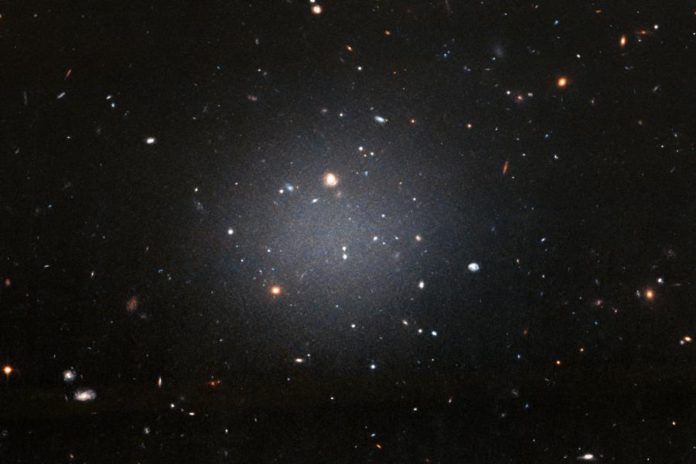 23948500.jpg