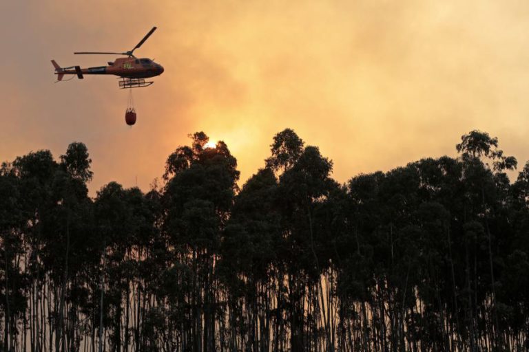 FOGO EM MONCHIQUE OBRIGA A RETIRAR POPULAÇÃO DE PORTELA DO VENTO