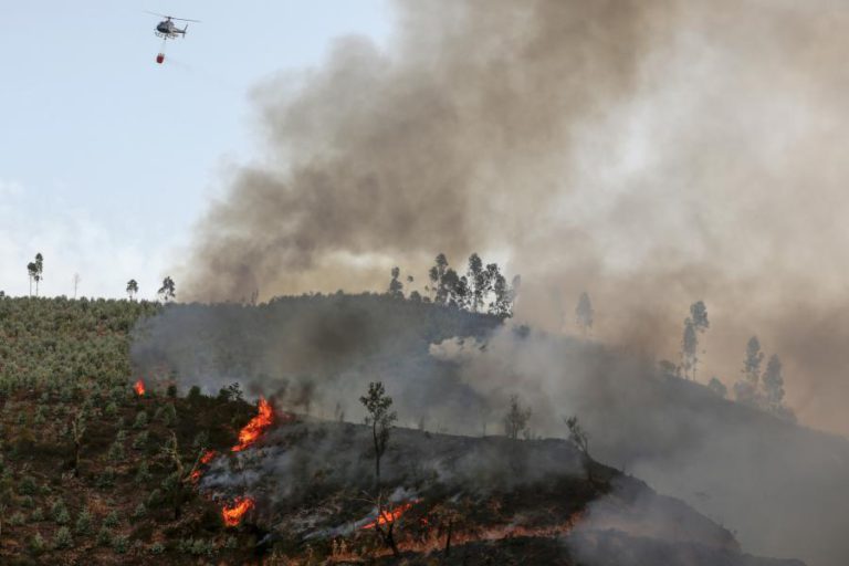 SEIS FERIDOS COM QUEIMADURAS, DOIS GRAVES, EM INCÊNDIO EM ESTREMOZ