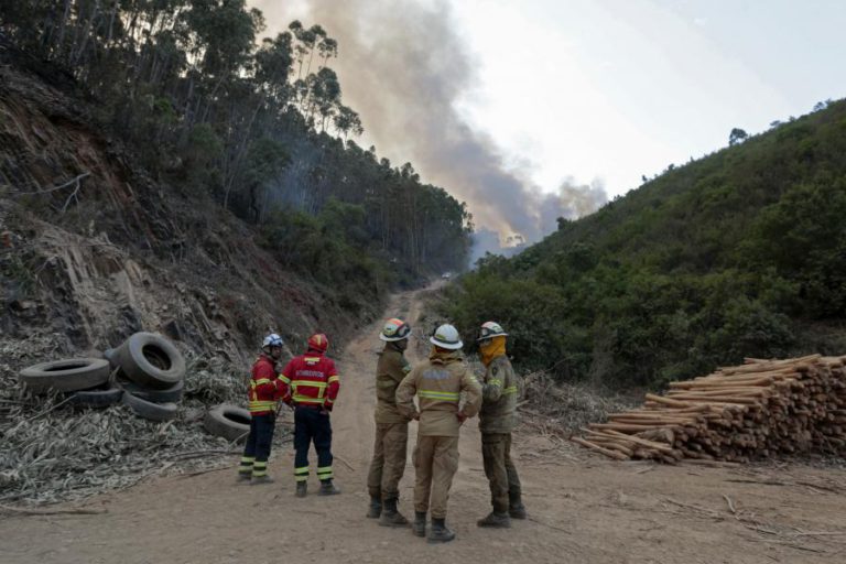 FOGO EM MONCHIQUE JÁ OBRIGOU A DESLOCAR CERCA DE 100 PESSOAS