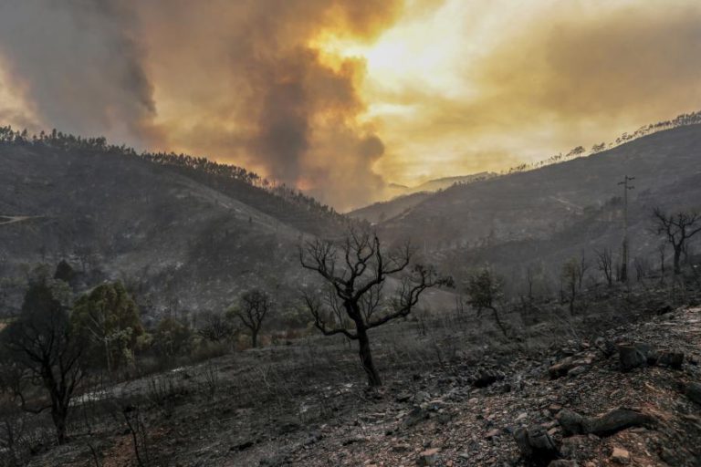 FRENTE ATIVA EM DIREÇÃO A MONCHIQUE SEM ACESSOS PARA MEIOS DE COMBATE AO INCÊNDIO