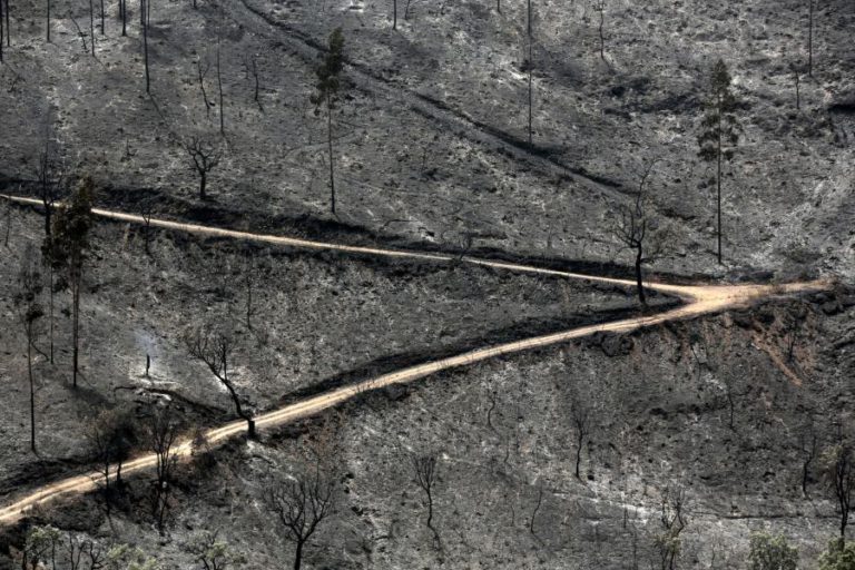 PRODUTORES FLORESTAIS ALVARGIOS ESPERAM HÁ 7 MESES POR APROVAÇÃO DE PLANO DE COMBATE A FOGOS