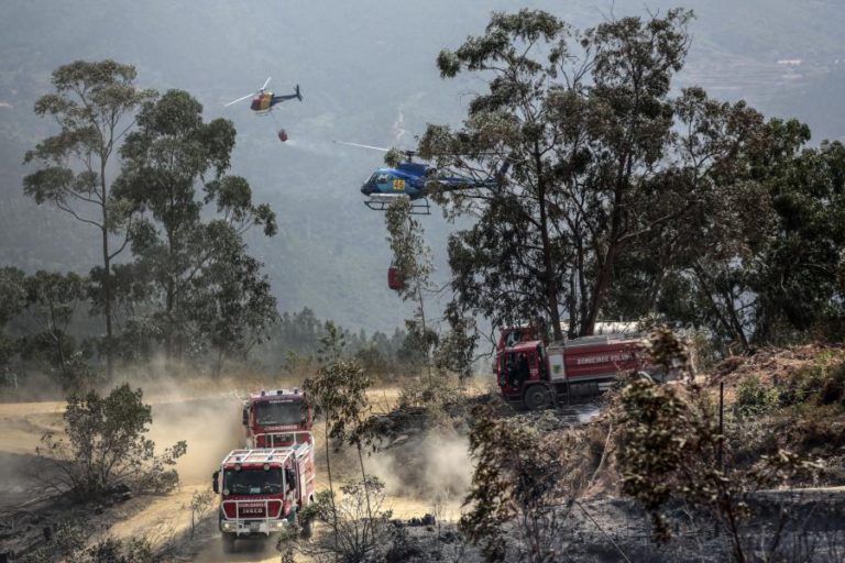 INCÊNDIO EM MONCHIQUE JÁ OBRIGOU A EVACUAR ALDEIA EM ODEMIRA, NO ALENTEJO