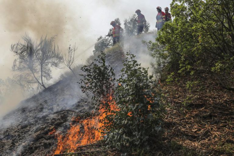 DOMINADO FOGO NA GUARDA QUE CHEGOU A MOBILIZAR MAIS DE 200 BOMBEIROS