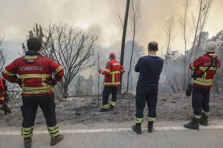 EVACUADA PARTE DA ESTRADA QUE LIGA MONCHIQUE AO PICO DA FÓIA – GNR