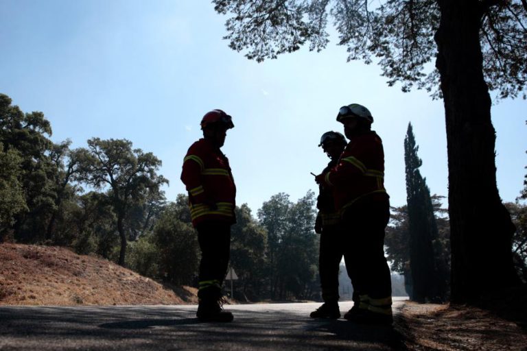 FOGO EM FREIXO DE ESPADA À CINTA DADO COMO DOMINADO
