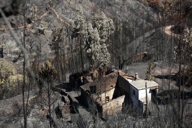 CHAMAS QUEIMARAM QUASE 28 MIL HECTARES NO ALGARVE