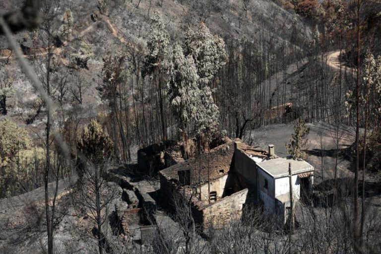 CÂMARA DE MONCHIQUE ESTIMA PREJUÍZOS NA ORDEM DOS 10 ME DEVIDO AO FOGO
