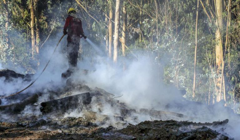 FOGO FLORESTAL EM GUIMARÃES EM RESOLUÇÃO