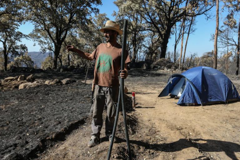 HÁ QUEM DURMA EM TENDAS NO MEIO DA CINZA EM MONCHIQUE ENQUANTO RECONSTRÓI O QUE PERDEU