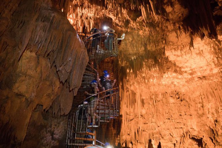 NOVAS ESPÉCIES CAVERNÍCOLAS TORNAM PORTUGAL REFERÊNCIA NA BIODIVERSIDADE SUBTERRÂNEA