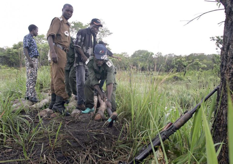 ANGOLA COM “LISTA VERMELHA” DE 150 ESPÉCIES AMEAÇADAS OU EXTINTAS