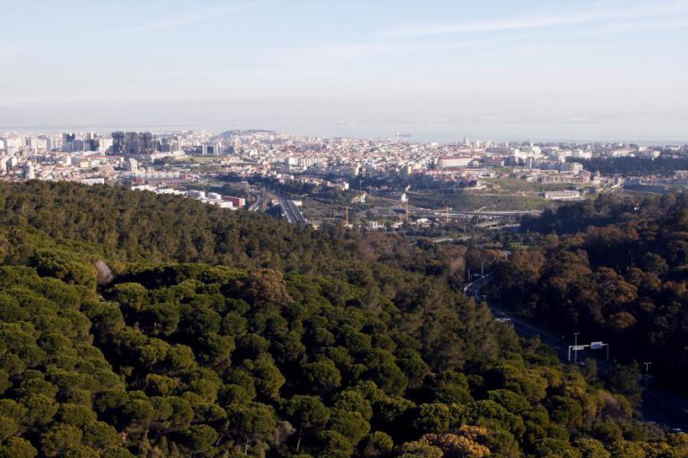 CÂMARA DE LISBOA QUER EVITAR “CONCENTRAÇÃO DE PESSOAS” EM MONSANTO DEVIDO AO CALOR