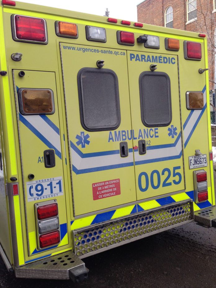 FOTO ATAQUE CÃO – CRÉDITO PINTEREST