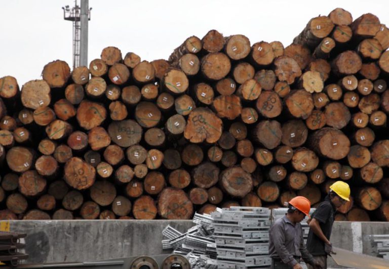 NOVO REGULAMENTO FLORESTAL EM ANGOLA VAI “ACABAR COM ANARQUIA” NO SETOR — GOVERNO