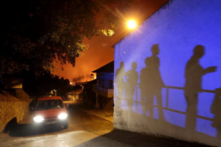 FESTIVAL CINEECO COM FILMES SOBRE OS FOGOS FLORESTAIS DE 2017