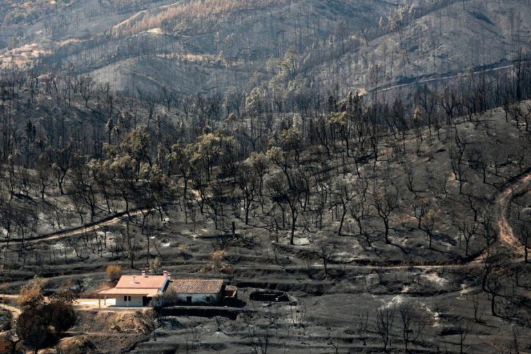 DANOS DOS INCÊNDIOS COBERTOS POR SEGUROS EM MONCHIQUE SOBEM PARA TRÊS MILHÕES DE EUROS