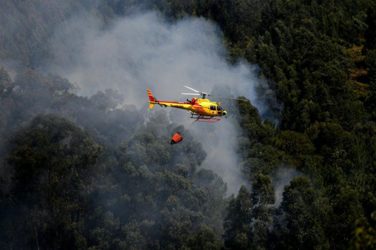 DEZASSETE CONCELHOS DE CINCO DISTRITOS DO CONTINENTE EM RISCO MÁXIMO DE INCÊNDIO