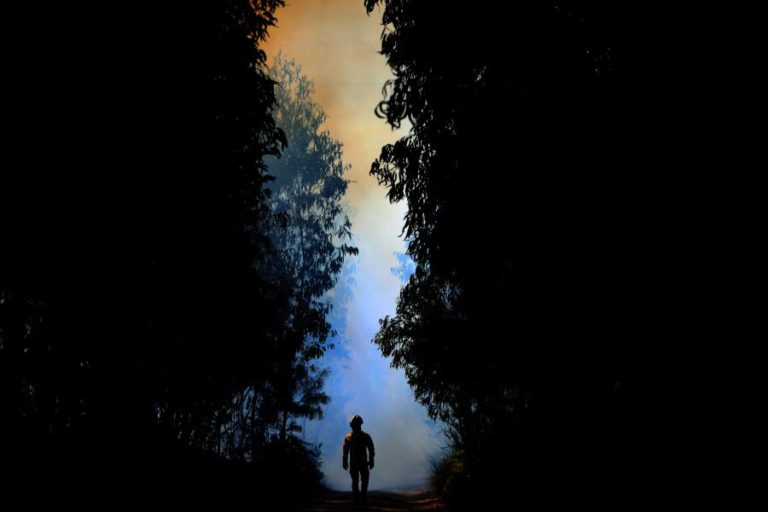 CORPO CARBONIZADO ENCONTRADO EM RESCALDO A INCÊNDIO FLORESTAL NA PÓVOA DE VARZIM