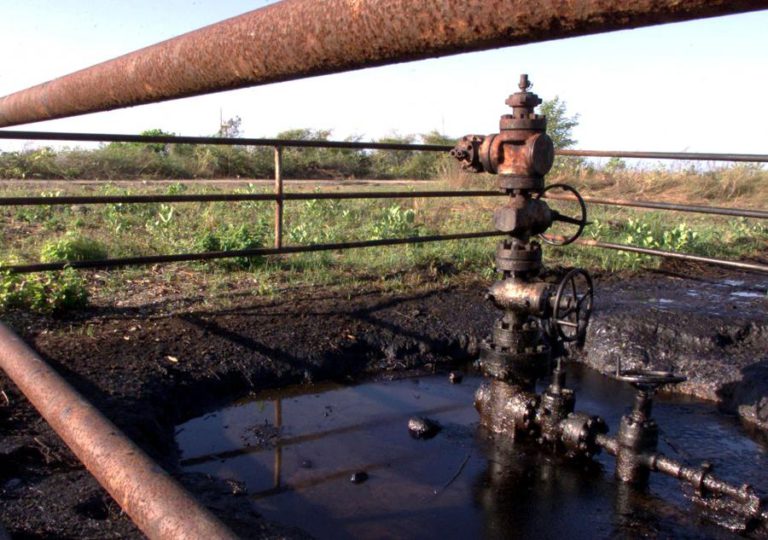 ONG TIMORENSE QUESTIONA AUTORIZAÇÃO DO MINISTÉRIO DO PETRÓLEO PARA DAR LICENÇAS AMBIENTAIS